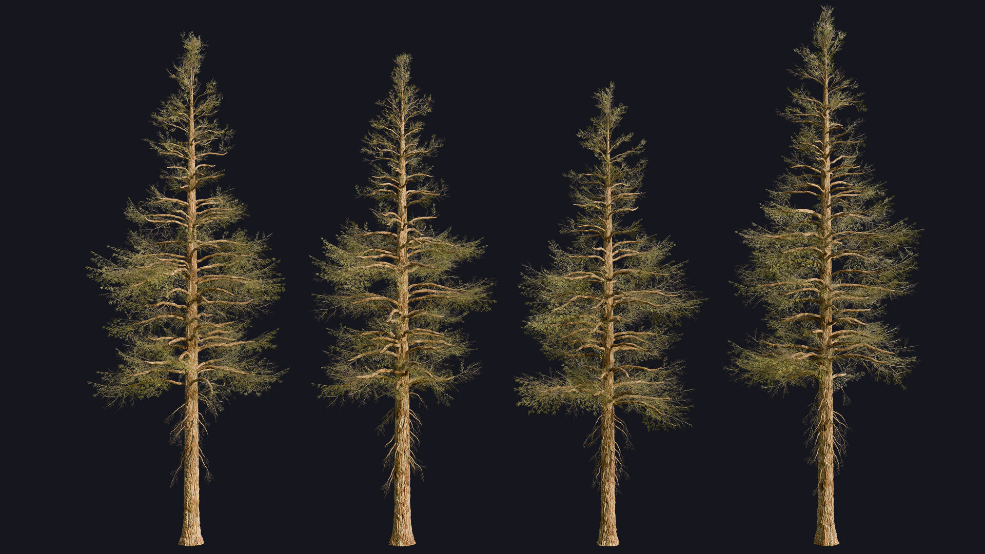 Pine Trees preview